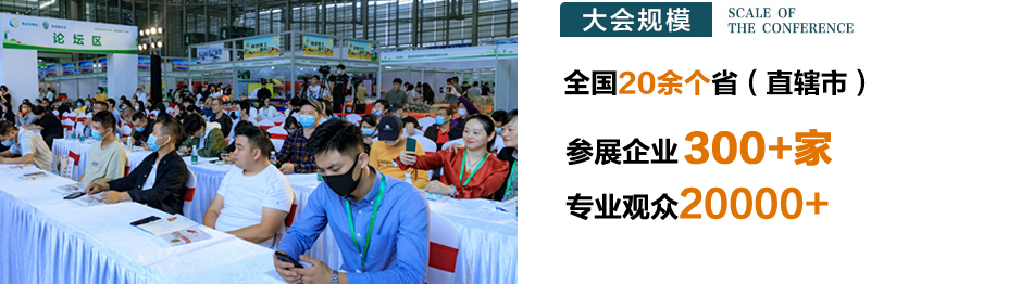 北京森交会人数.jpg