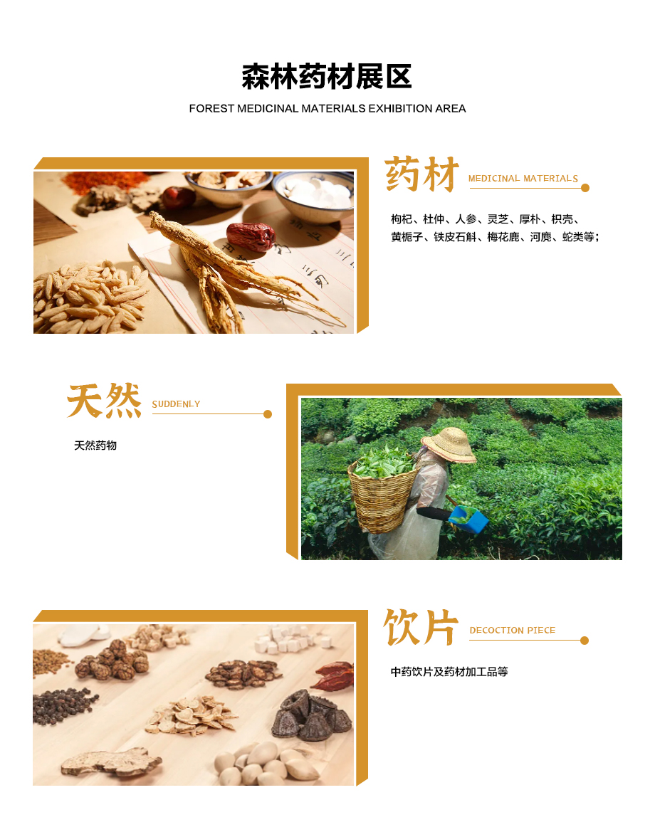森林药材展区.jpg
