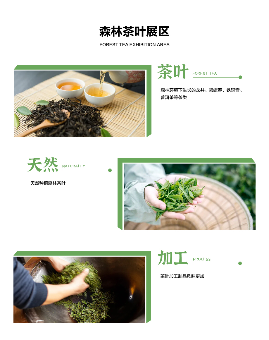 森林茶叶展区.jpg