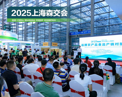 配图500×400px.上海照片森4.jpg