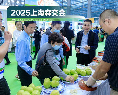 配图500×400px.上海照片森2.jpg